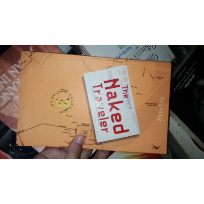 the naked traveler 3