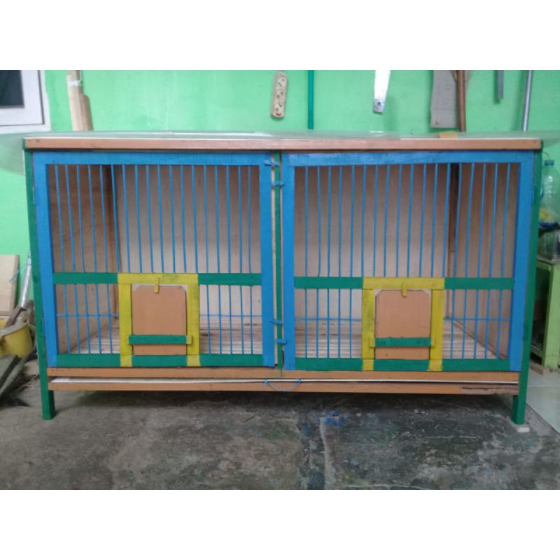kandang burung dara