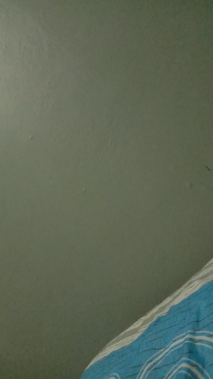 Tey-17 Batik Wanita Asj Sa Hrb026 Kenongo Kemeja Tosca Pendek