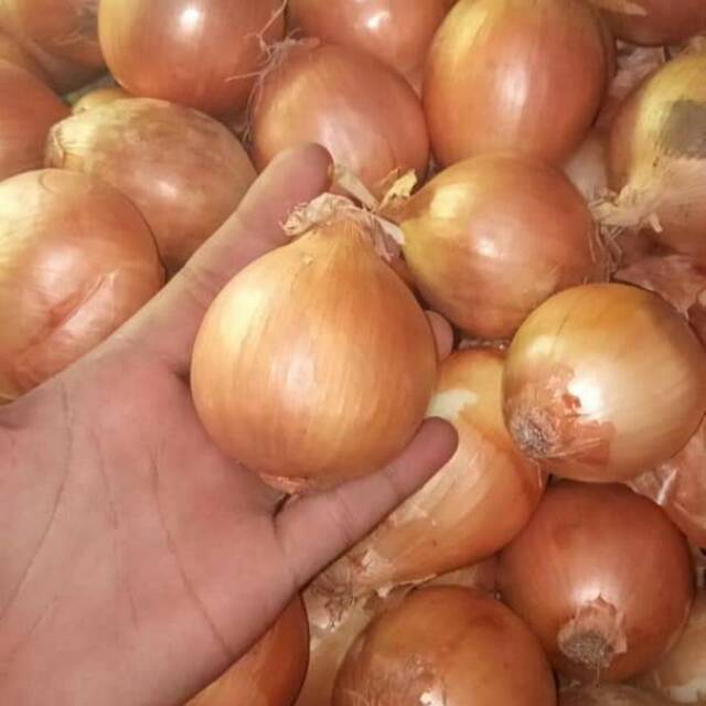 

Bawang bombay