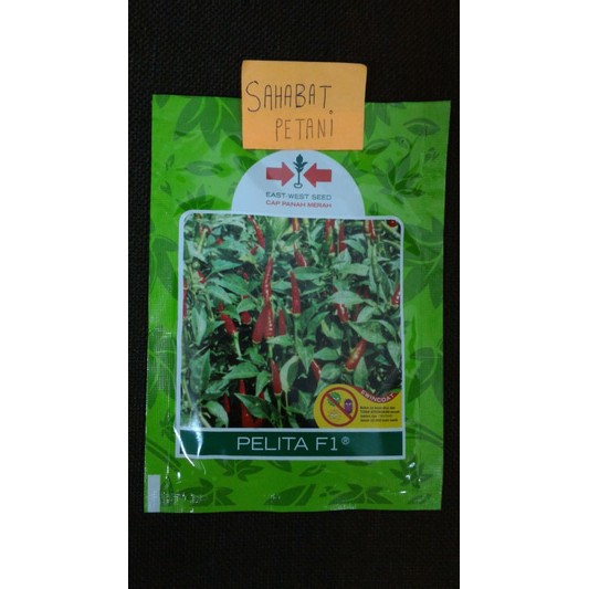 Benih Cabe Rawit Pelita F1 350 Butir
