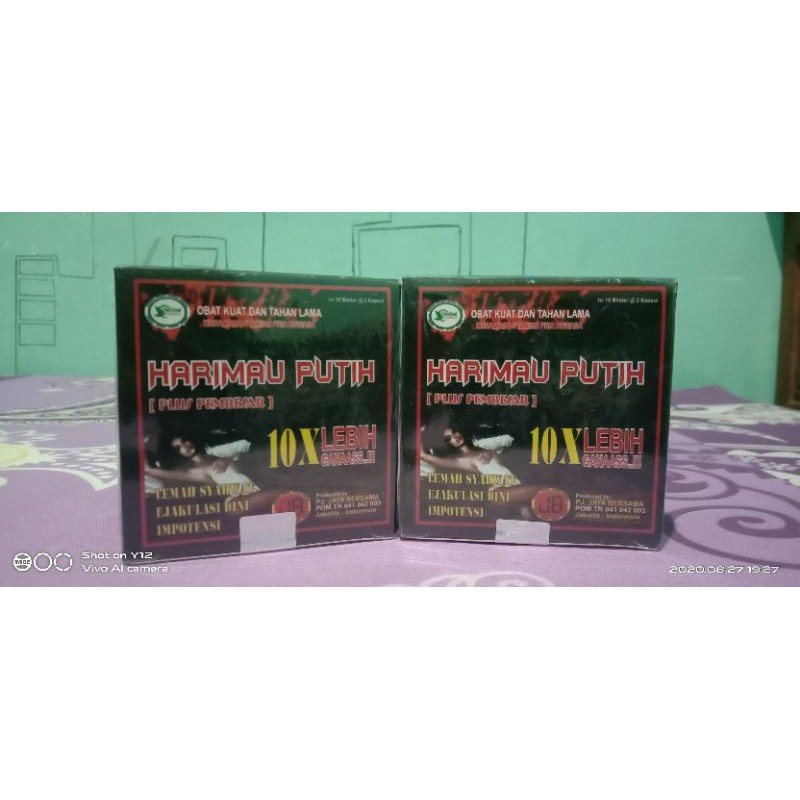 harimau putih 10x