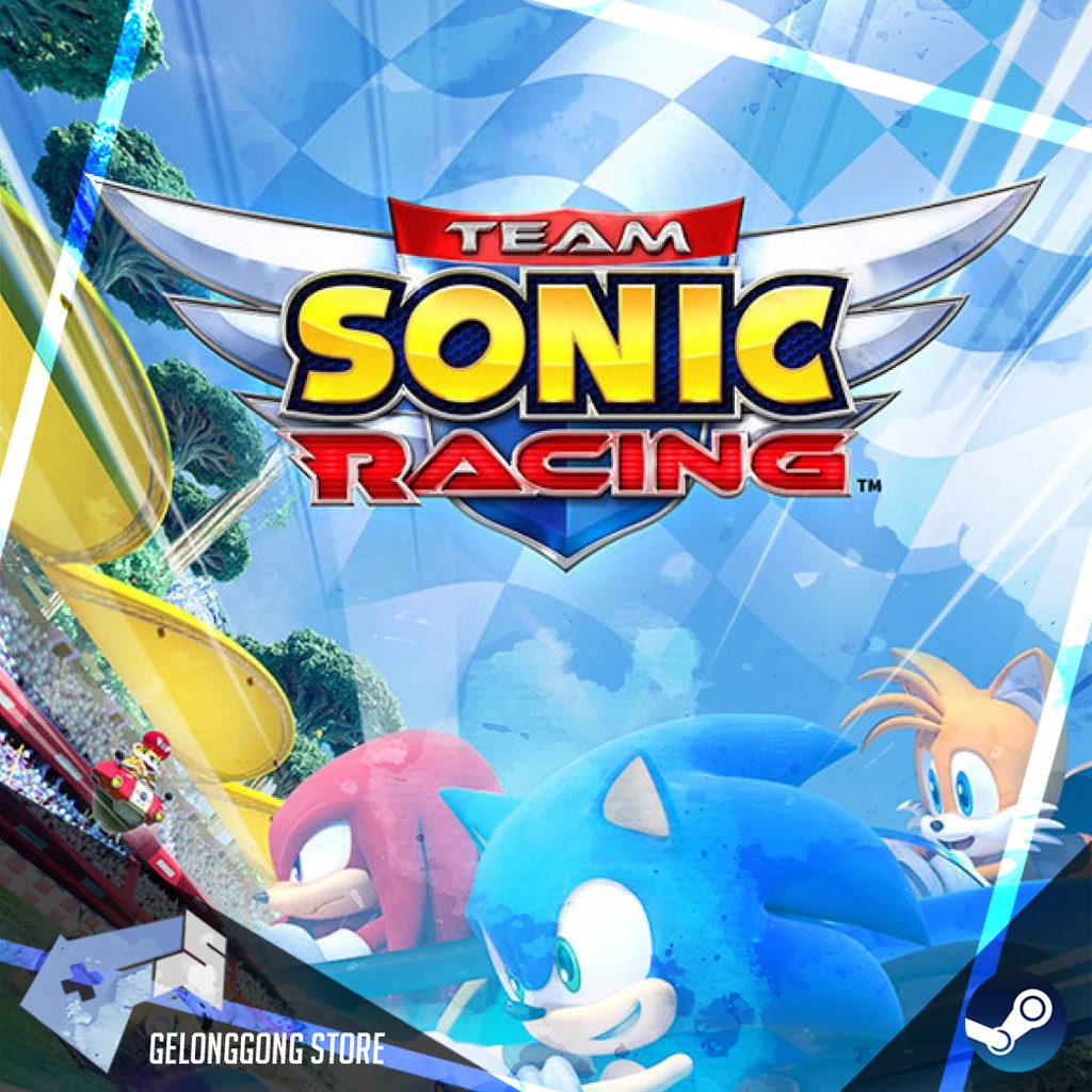 Sonic race steam фото 16