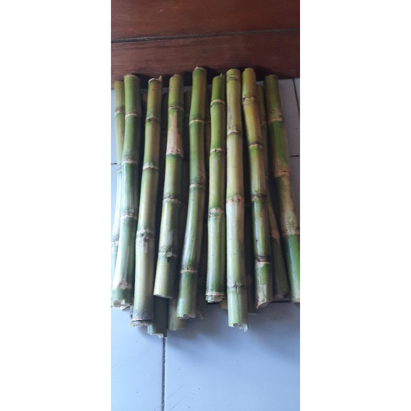 Jual Tebu Ijo Kediri Shopee Indonesia 