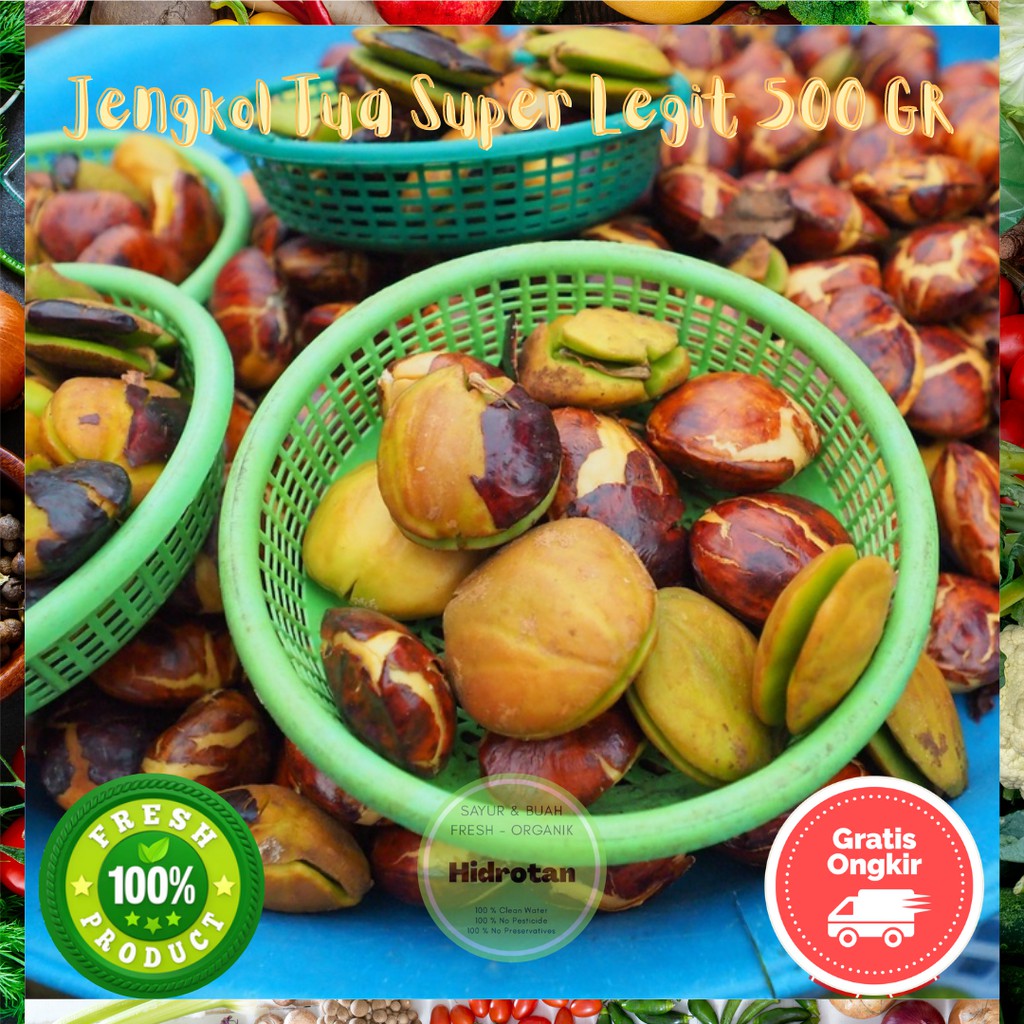 

Jengkol Tua 500 gr Super Legit | Paket Sayur Sayuran Segar Fresh Murah - Free Emas