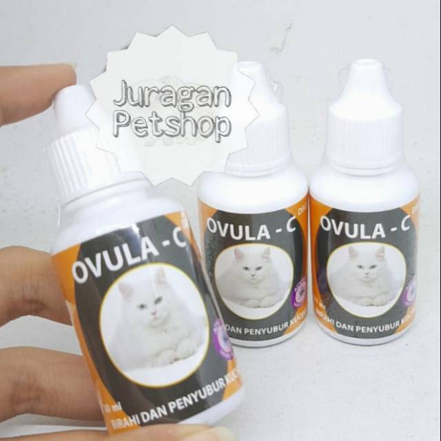 OVULA CAT 30Ml | Obat Birahi Kucing