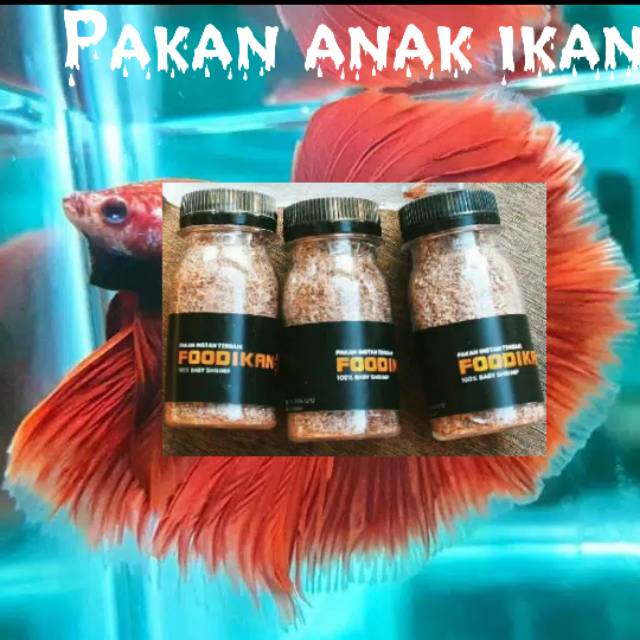 Baby shrimp/ makanan anak ikan/ cupang /bonus/ daun ketapang /lohan /ikan hias