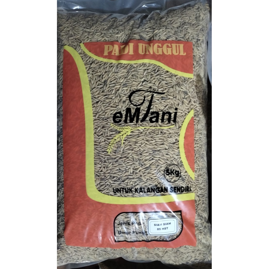 Benih Padi Siam Siam (5kg)