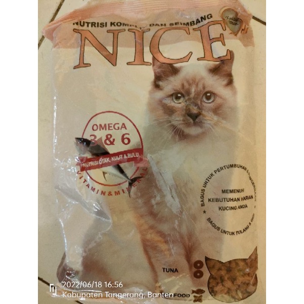 nice makanan kucing