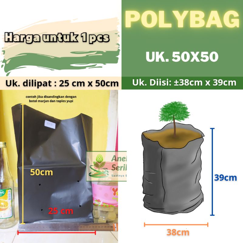 polibag Jumbo ukuran  40X40  45X45 45X45 50X50