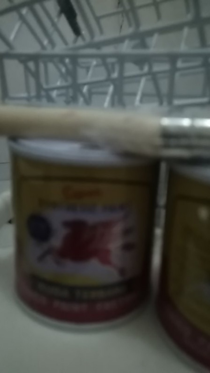 Cat Besi Kayu Plastik Kuda Terbang Kaleng Kecil 100ml  Cepat Kering Mengkilap Tahan Cuaca Anti Karat