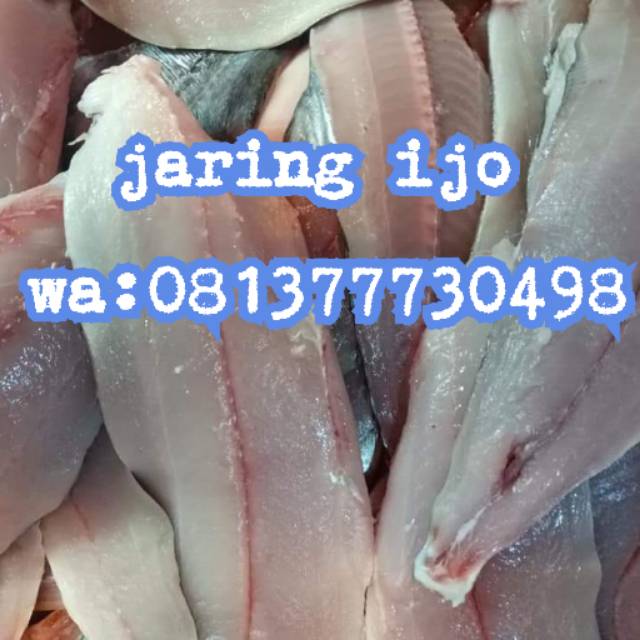 

Ikan giling Tenggiri super jaring ijo