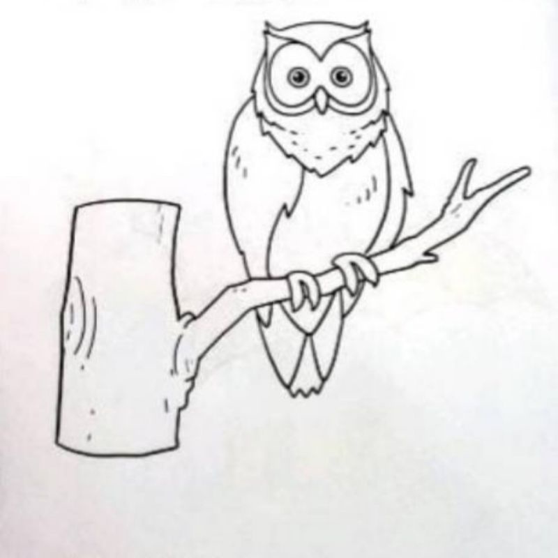 470 Koleksi Gambar Burung Hitam Putih Untuk Kolase HD