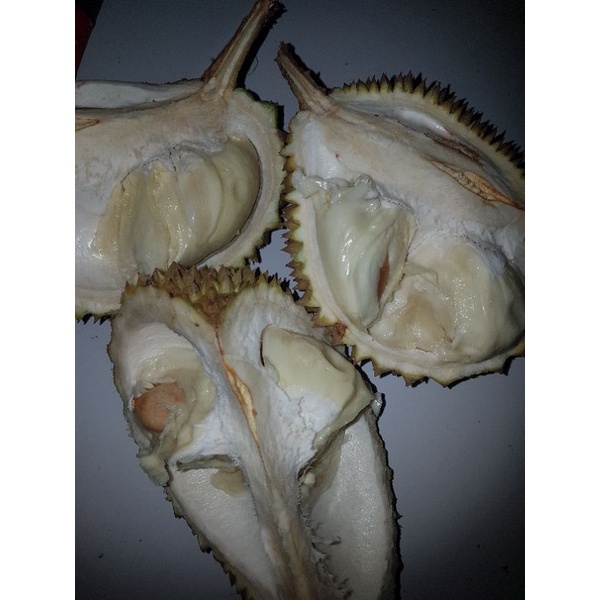 

Durian Murah( Manis & Tebal)