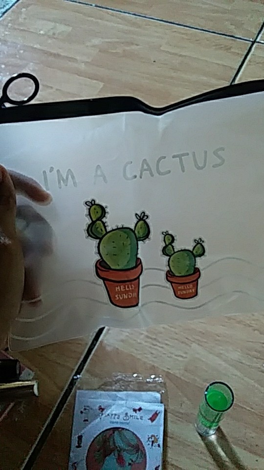 Zipper Bag Kaktus / Ziplock Motif Kaktus / Tempat Pensil / Pouch Serbaguna / Pouch Kosmetik