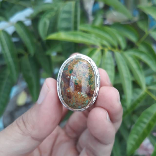 Pirus Persia Lawas
