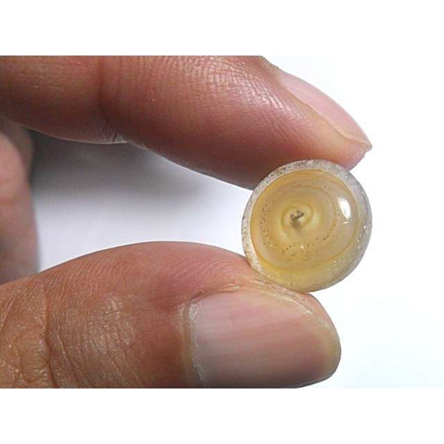 AG108 Round Cabochon 9ct 14mm Golden Brown White 'Greek Evil Eye' Picture Agate Natural Lucky Charm