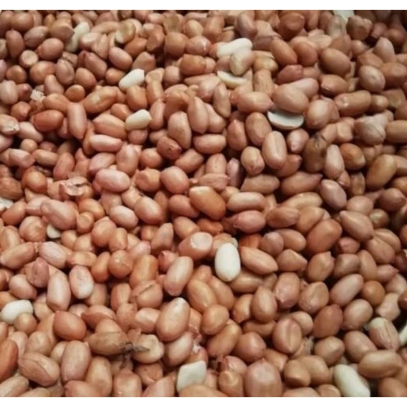 

Kacang tanah 500 gram (1/2Kg)