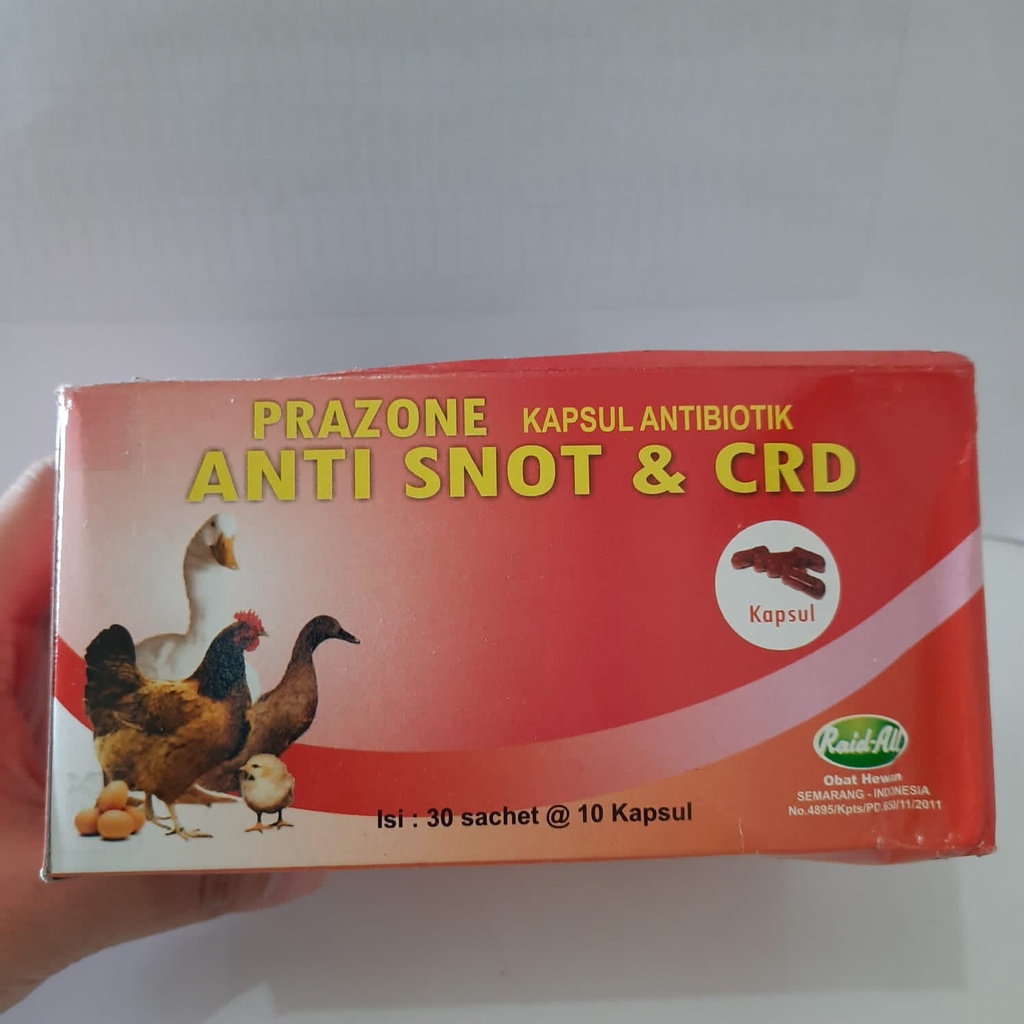 PRAZONE ANTI SNOT & CRD kapsul antibiotik