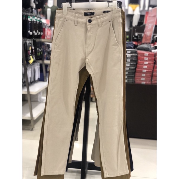 Chinos dewasa Arnett