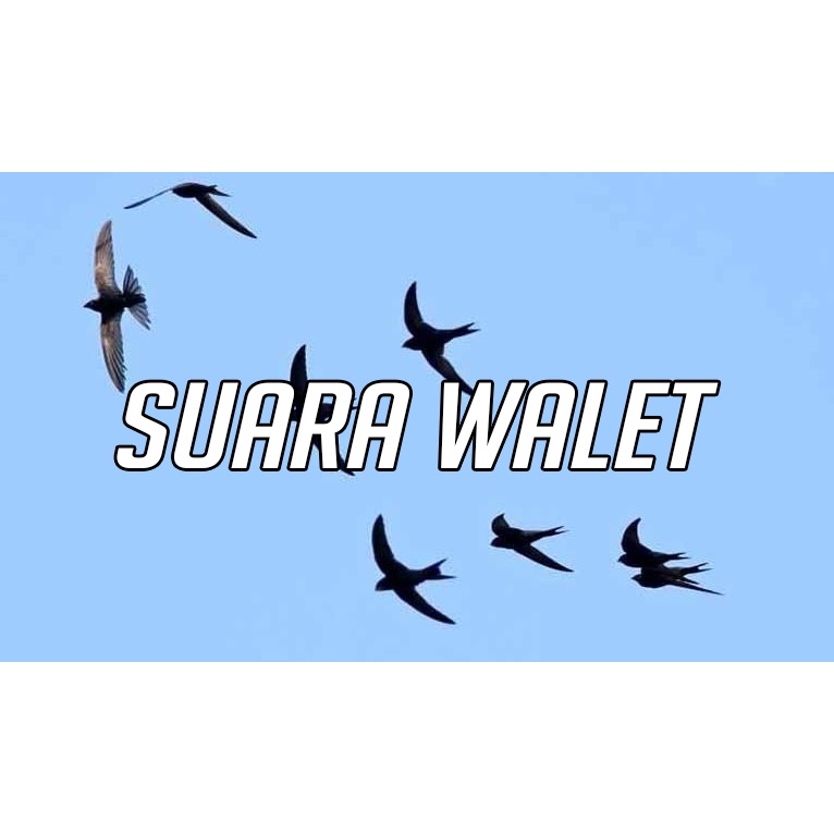 SUARA PANGGIL TARIK INAP WALET ORIGINAL