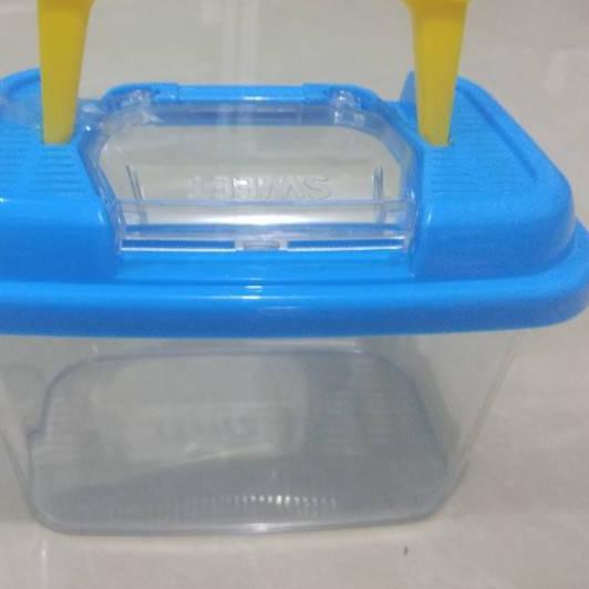 Set 215 Aquarium Mini Tempat Kura Kura Cupang Ikan Hias