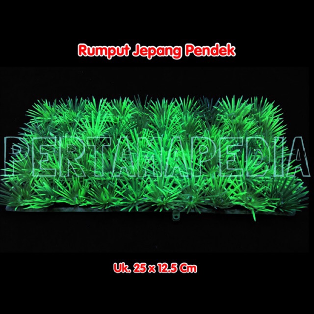  Rumput  Plastik Rumput  Aquarium  Rumput  Artificial Rumput  