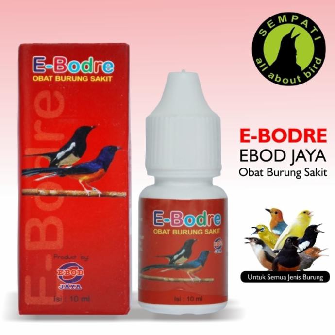 Premium E Bodre Ebod Jaya Obat Burung Sakit Infeksi Saluran Kemih