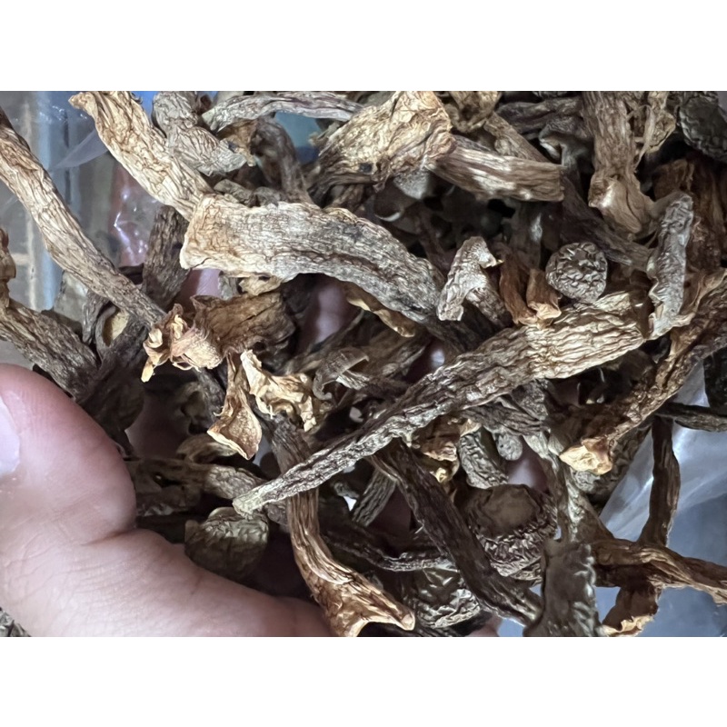 

Jamur velvet / lu rong gu 鹿茸菇 500gr