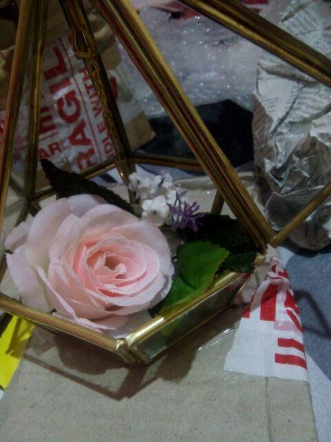 Terrarium Ringbox / Pengait Cincin