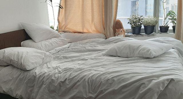 Duvet Cover Size Double Ex Hotel 100% Cotton