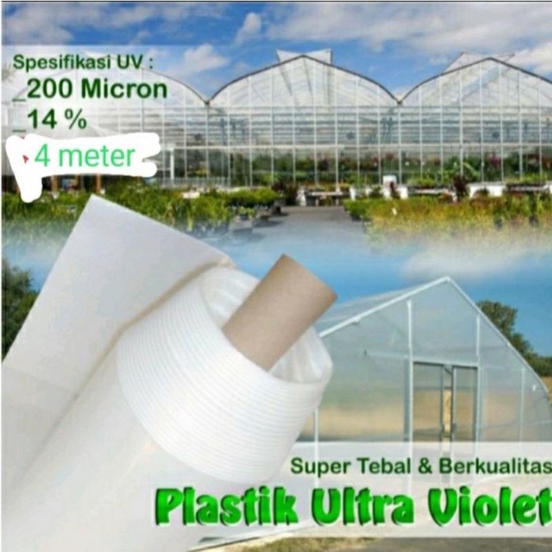 Plastik UV Lebar 4 x Panjang 33 Meter Ketebalan 200 Micron