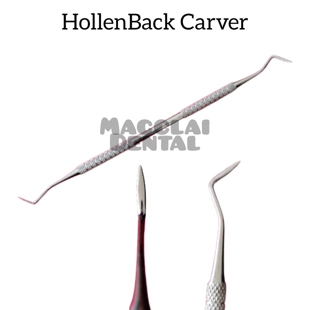 DENTAL HOLLENBACK CARVER 2 SISI / DOUBLE ENDED TERLARIS