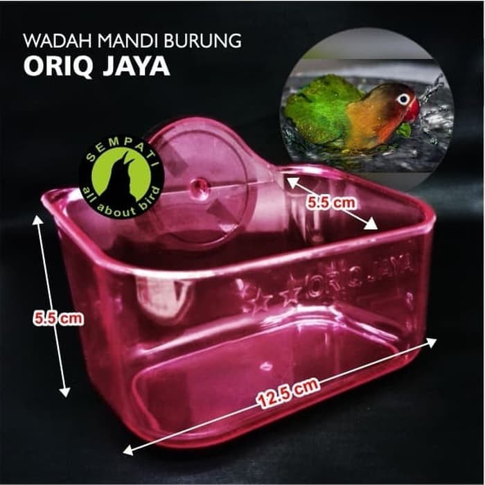 CEPUK WADAH MANDI BURUNG ORIQ JAYA