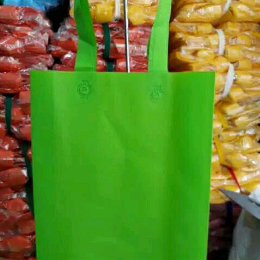 SPUNDBOND GOODIE BAG 30 X 40 X 10 HANDLE TALI TAS KANTONG BELANJA