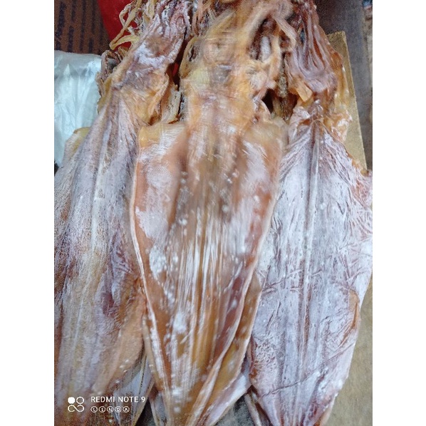 

sotongkering 1000 gram