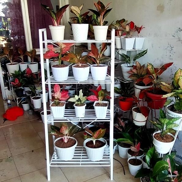 rak besi pot bunga 4 susun