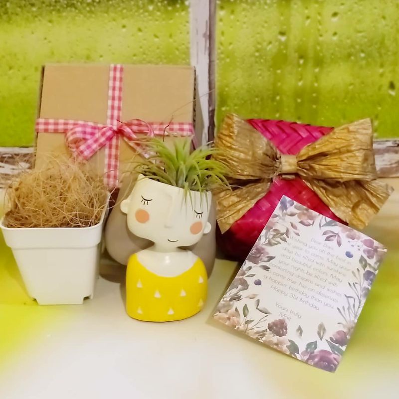 

Hampers plants kekinian CUSTOM /kado istri/ kado ibu/ kado mertua