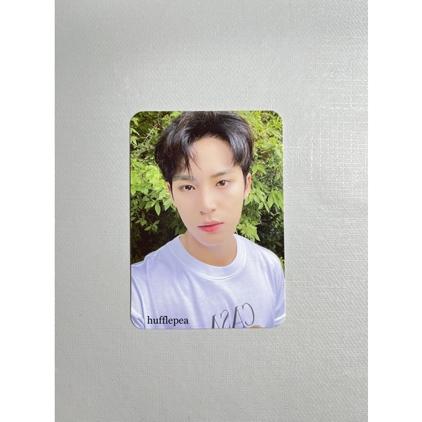 photocard pc dicon 101 teddy joshua seungkwan dicon selca mingyu seventeen