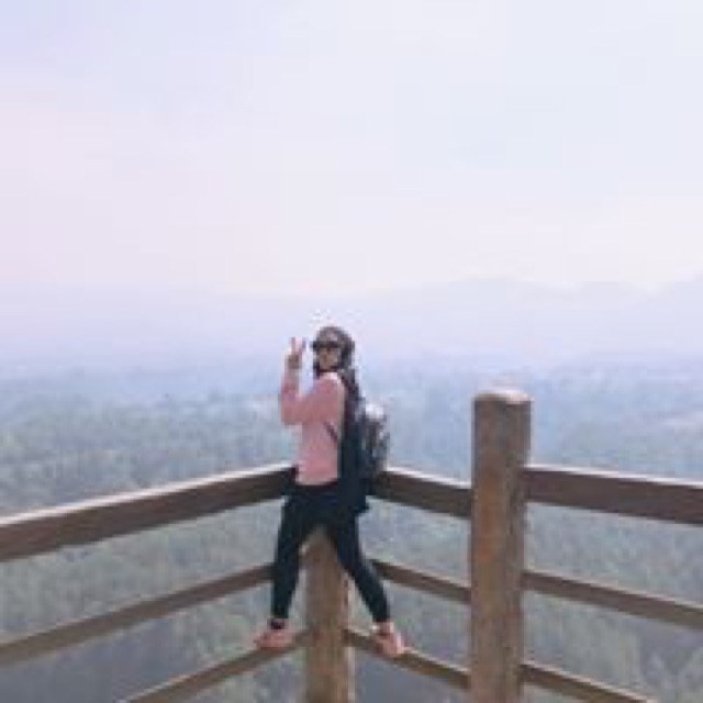 vicaseptianty