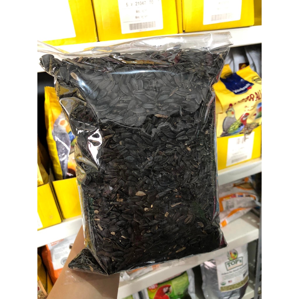 

Ay00! KUACI HITAM BLACK SUNFLOWER 1KG