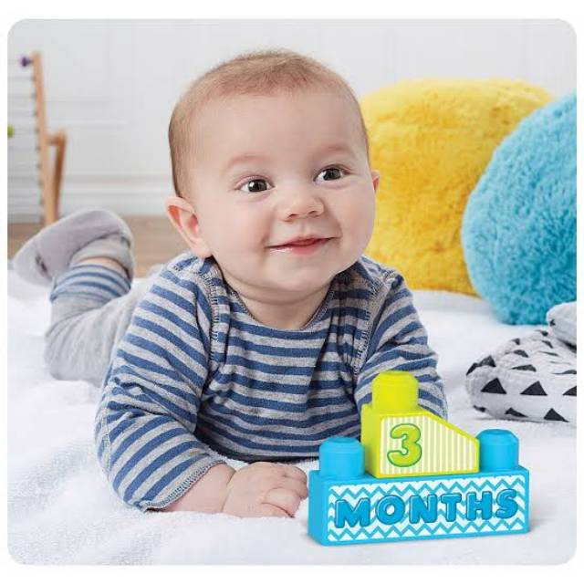 Fisher Price Milestone Mega bloks blocks bricks baby first year flash card photo mainan balok bayi