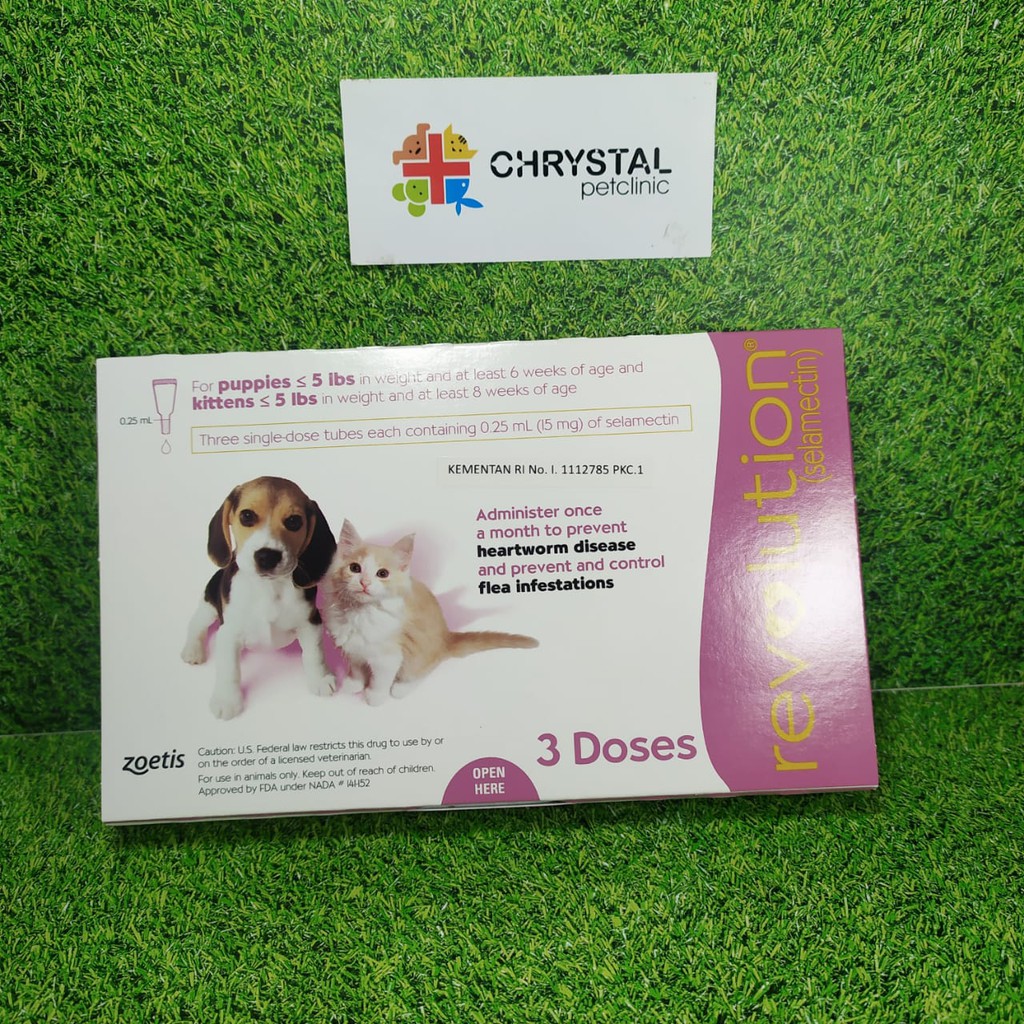 Harga Revolution Kitten Puppies Terbaru Jun 2026 | BigGo Indonesia