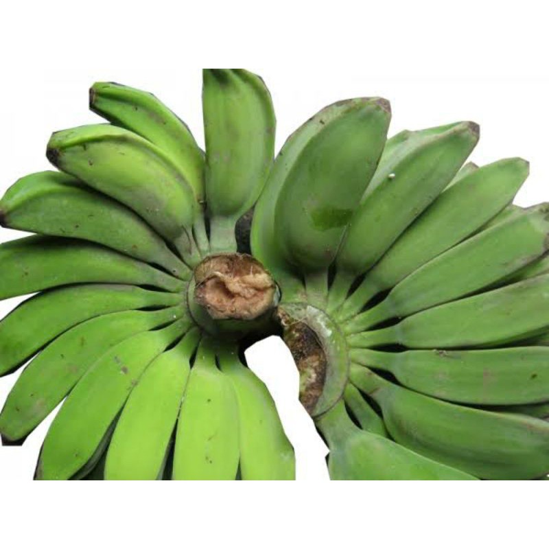 

pisang kepok super/sisir