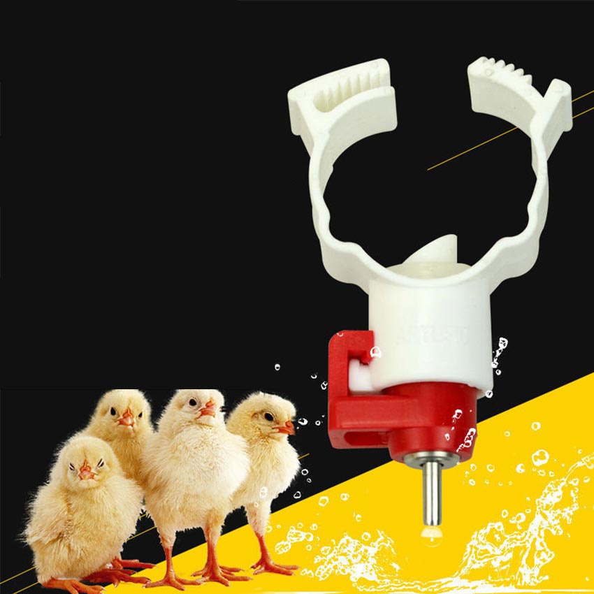 10 Pcs/set Alat Minum Ayam Puyuh Unggas Otomatis Tempat Minum Ayam Nepel Drinker