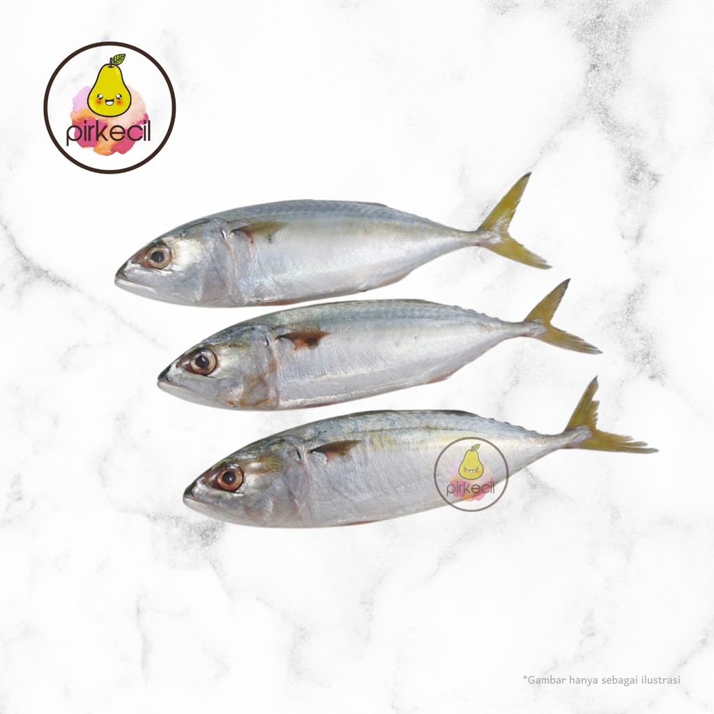 

Ikan Kembung SEGAR (bukan frozen)