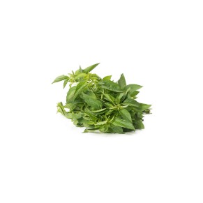 

Daun Kemangi 250 gram