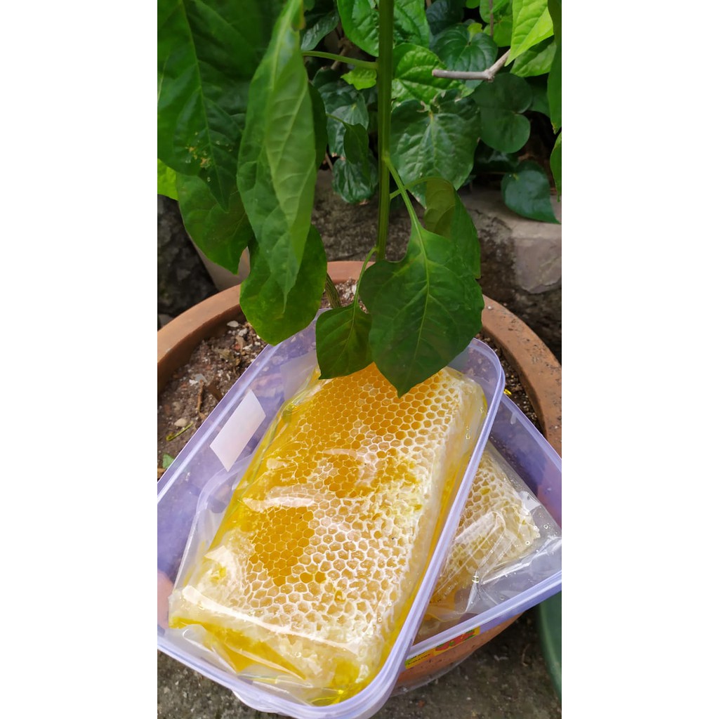 

MADU SARANG ASLI BEEPOLEN, 500 Gram