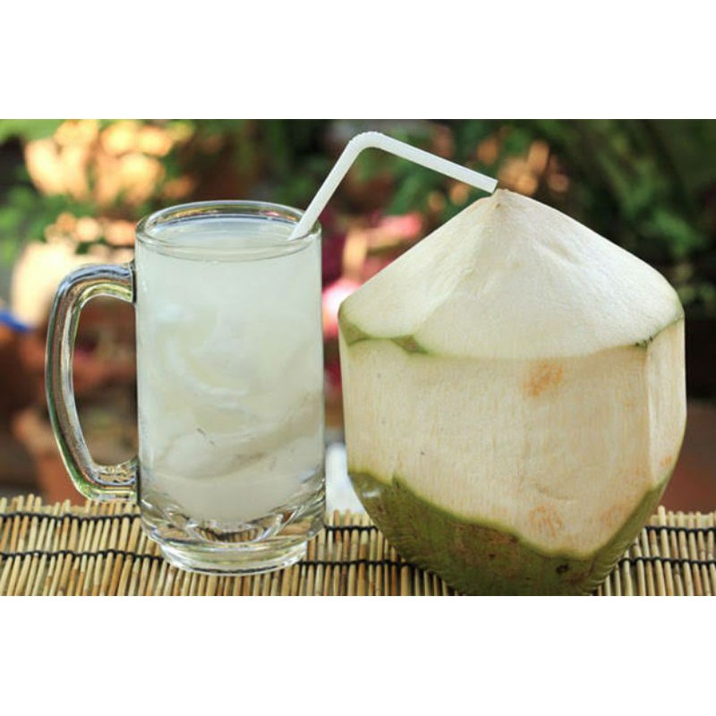 

Buah Kelapa Muda Segar kelapa hijau