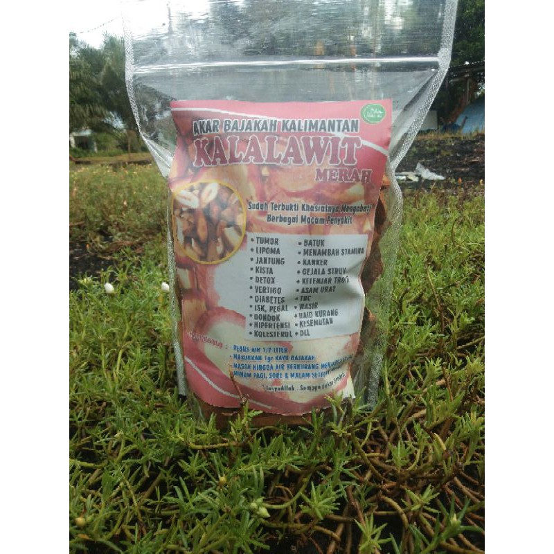 

bajakah-kalimantan-asli